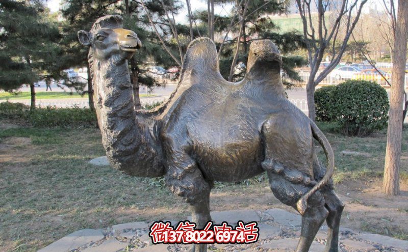 創(chuàng)意大型玻璃鋼駱駝雕塑，在草地上擺放，一眼回頭